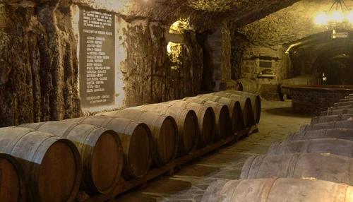 Enjoy the diversity of the wineries of Rioja Alavesa!