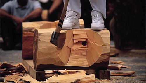 Log Chopping